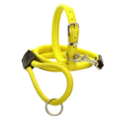 Bright Yellow Rolled Leather Dog Collar and Lead by Dogs & Horses
