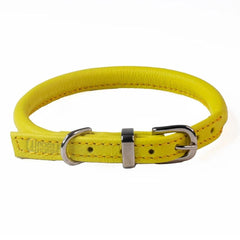 Bright Yellow Rolled Leather Dog Collar by Dogs & Horses