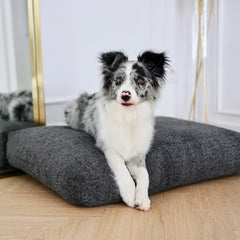 BUKLAA Anthracite Boucle Cushion Dog Bed by Labbvenn
