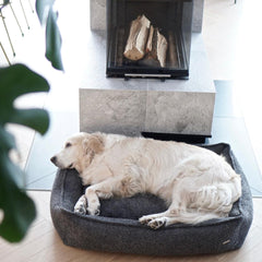 BUKLAA Anthracite Boucle Luxury Dog Bed by Labbvenn