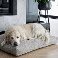 BUKLAA Light Beige Boucle Cushion Dog Bed by Labbvenn