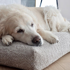 BUKLAA Light Beige Boucle Cushion Dog Bed by Labbvenn