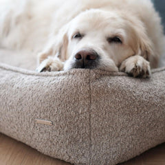 BUKLAA Light Beige Boucle Luxury Dog Bed by Labbvenn