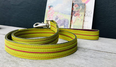 Roobarb Striped Dog Collar and Lead Set by Scrufts