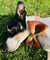 Ginger Harris Tweed Bow Tie Designer Dog Collar