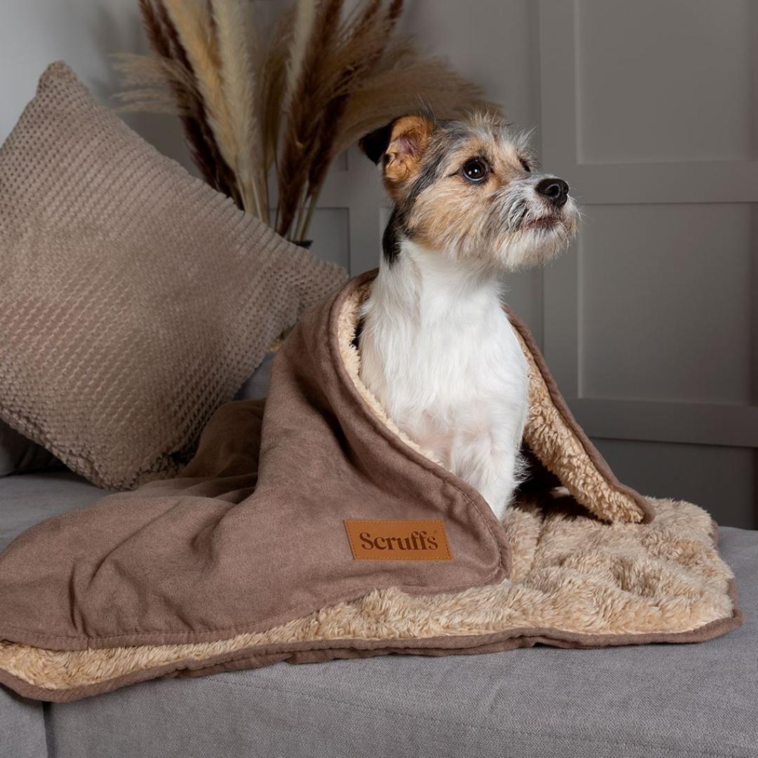 Caramel Brown Snuggle Pet Blanket | Scruffs