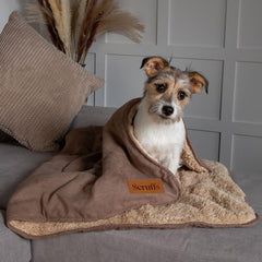 Caramel Brown Snuggle Pet Blanket | Scruffs