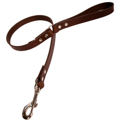 Chocolate Brown Leather Dog Lead