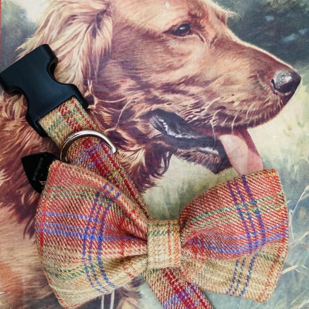Cinnabar Tweed Dog Collar With Detachable Bow Tie | Scrufts