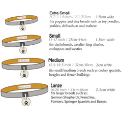 collar sizes