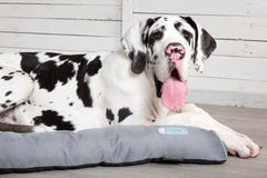 Scruffs Dog Cool Bed