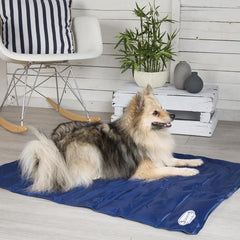 Scruffs Dog Cooling Mat | Cooling Mat For Dogs