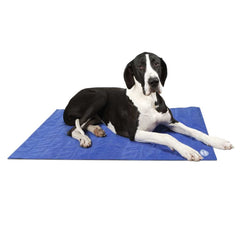 Scruffs Dog Cooling Mat | Cooling Mat For Dogs