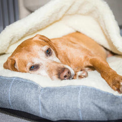 Country and Twee Grey Check Cave Dog Bed