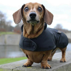 Country and Twee Waterproof Black Dachshund Dog Coat