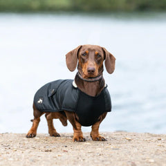 Country and Twee Waterproof Black Dachshund Dog Coat