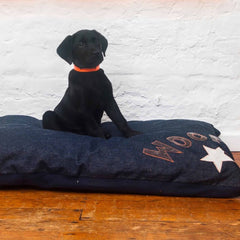 Creature Clothes Denim With Grey Woof Dog Bed