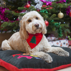 Creature Clothes Slip On Bandana Christmas Tree