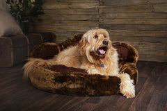 Scruffs Grizzly Bear Paw Dog Bed | Luxury Dog Beds