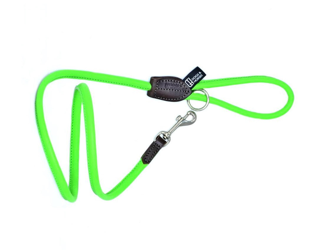 Dogs and Horses Luxury Narrow Rolled Leather Dog Lead Green
