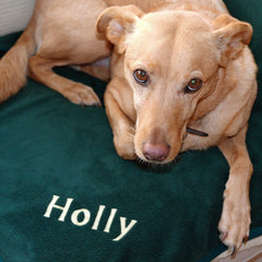 Luxury Personalised Pet Blankets In Forest Green