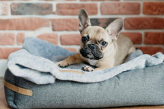 Bowl and Bone Nap Grey Fur Dog Blanket