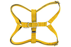 Bowl and Bone Active Yellow Dog Harness and Lead Set