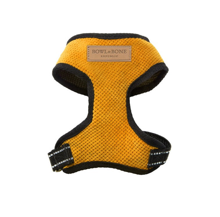 Bowl and Bone Candy Yellow Dog Harness