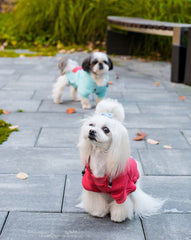 Bowl and Bone Cloud Coral Dog Hoodie