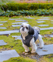 Bowl and Bone Spirit Grey Quilted Dog Jacket