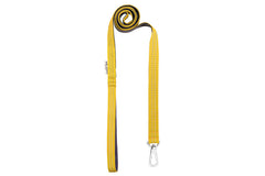 Bowl and Bone Active Yellow Dog Harness and Lead Set