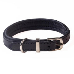 Dogs & Horses Luxury Padded Leather Dog Collar Black