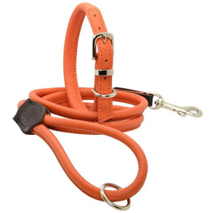 Dogs & Horses Rolled Leather Dog Collar and Lead Orange