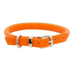 Dogs & Horses Rolled Leather Dog Collar Orange