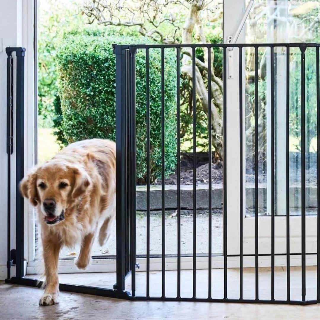 DogSpace Rocky Extra Tall Room Divider Chelsea Dogs