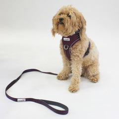 Doodlebone Adjustable Airmesh Dog Harness - Burgundy