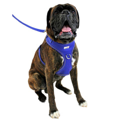 Doodlebone Adjustable Airmesh Dog Harness - Cobalt