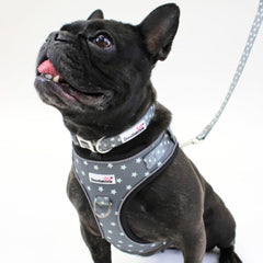 Doodlebone Adjustable Airmesh Dog Harness - Grey Stars Glow In The Dark