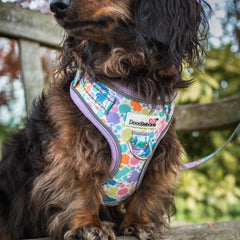Doodlebone Adjustable Airmesh Dog Harness - Pastel Paint Splat
