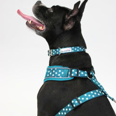 Doodlebone Adjustable Airmesh Dog Harness - Teal Stars Glow In The Dark