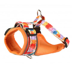 Doodlebone Adjustable Airmesh Dog Harness - Watercolour