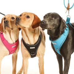 Doodlebone Adjustable Airmesh Dog Harness - Aqua Blue