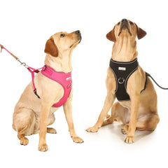Doodlebone Adjustable Airmesh Dog Harness - Coal Black