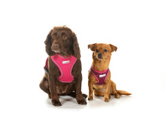 Doodlebone Originals Airmesh Dog Harness - Fuchsia Pink