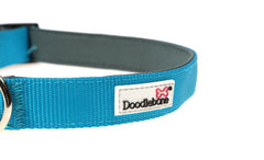 Doodlebone Originals Padded Dog Collar - Aqua