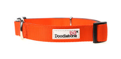 Doodlebone Originals Padded Dog Collar - Tangerine Orange