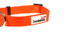 Doodlebone Originals Tangerine Orange Dog Collar