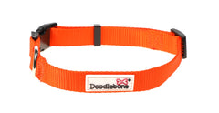 Doodlebone Originals Tangerine Orange Dog Collar