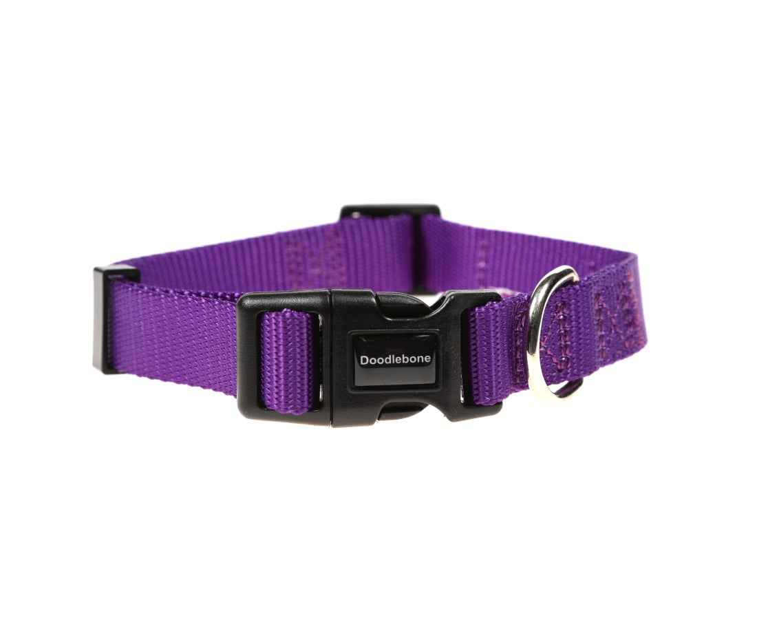 Doodlebone Originals Violet Purple Dog Collar