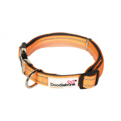 Doodlebone Padded Dog Collar - Peach